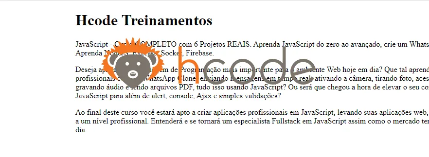 Estilo position absolute aplicado no navegador